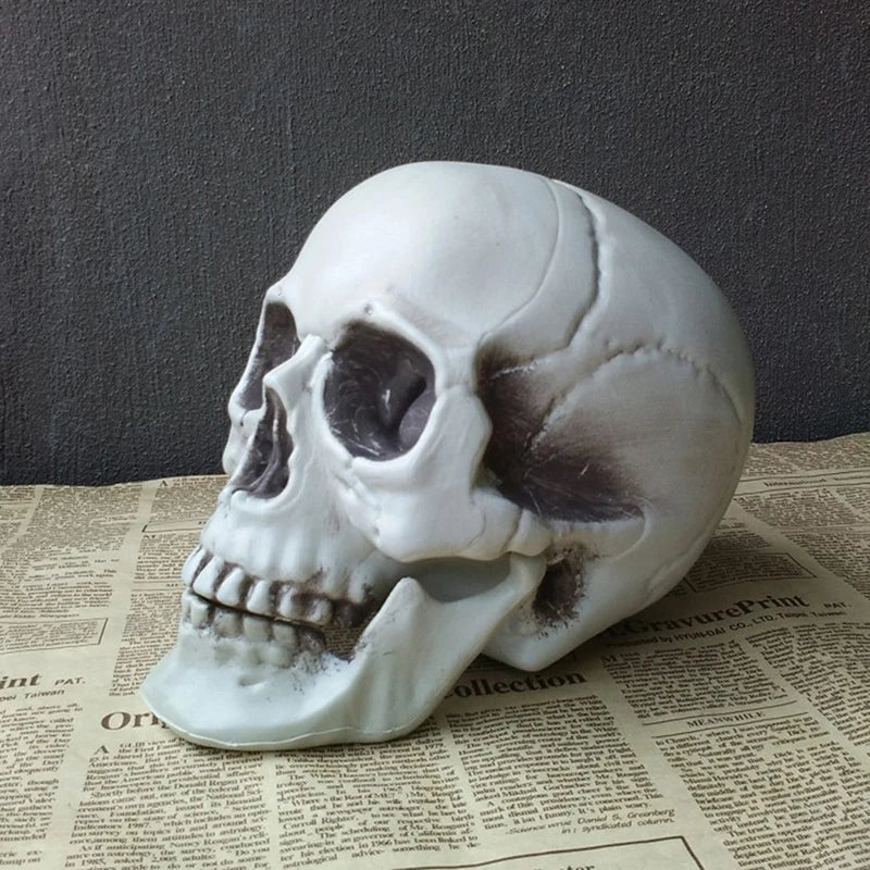 Artificial Skull Head Halloween Decoration Ornament