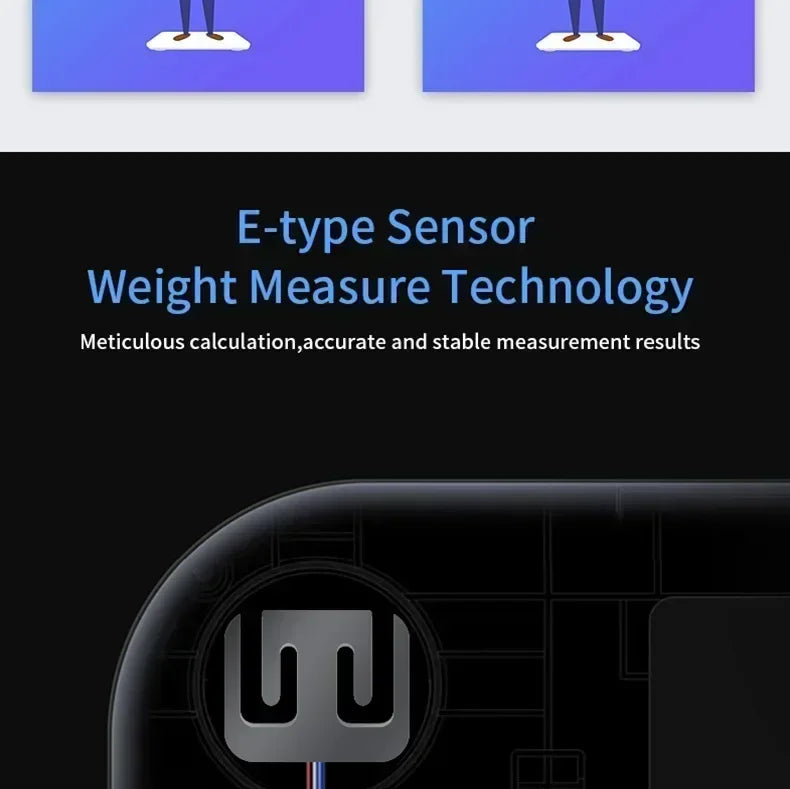Smart Body Fat Scale Display