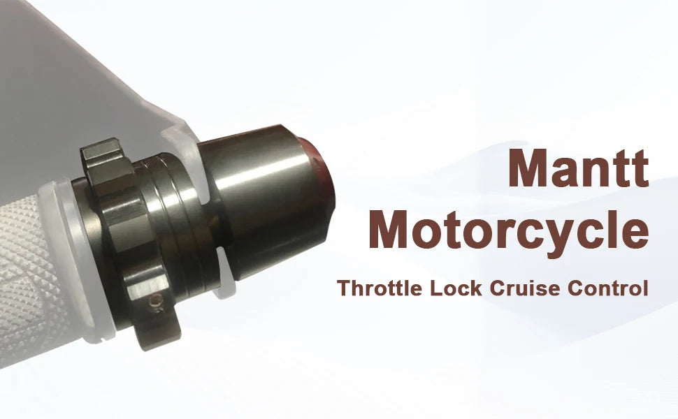 Throttle Stabilizer for V-Strom DL650 DL1000