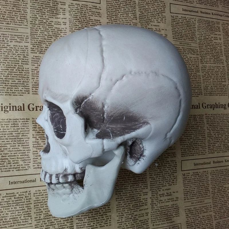 Artificial Skull Head Halloween Decoration Ornament