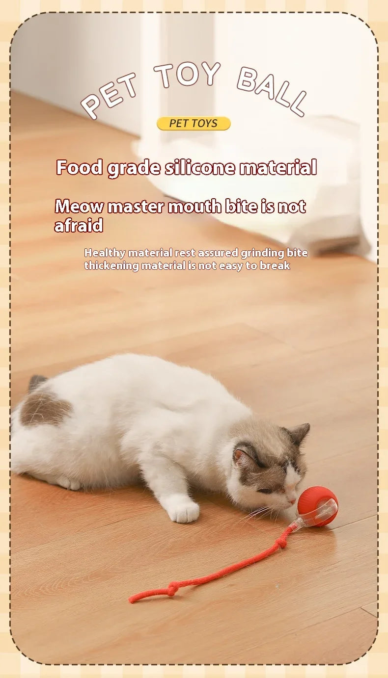 Smart Rolling Cat Toy Ball USB Rechargeable