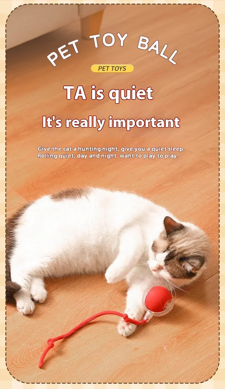Smart Rolling Cat Toy Ball USB Rechargeable